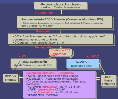 resucitacion_cardiopulmonar_avanzada/atencion_cardiaca_emergencia