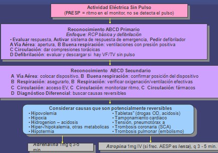 resucitacion_cardiopulmonar_avanzada/disociacion_electromecanica