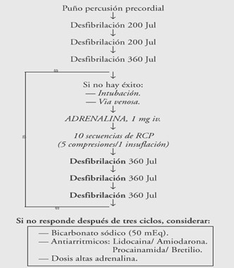 resucitacion_cardiopulmonar_avanzada/energia_desfibrilacion_desfibrilador