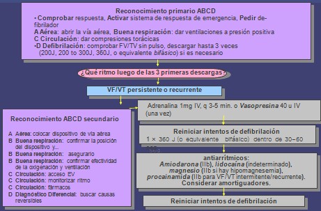 resucitacion_cardiopulmonar_avanzada/fibrilacion_TV_ECG