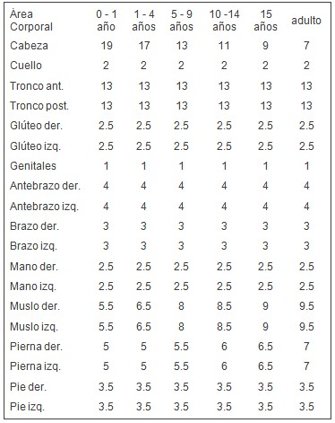 revision_bibliografica_quemaduras/superficie_corporal_area