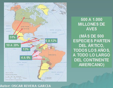 gripe_pandemia_mortal/movimientos_migratorios_aves