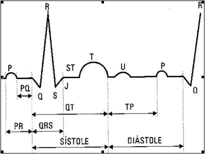ECG_electrocardiografia_basica/grafico_intervalo_pr