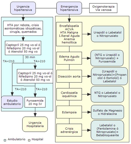 HTA_emergencia_hipertensiva/algoritmo_enfoque_terapeutico