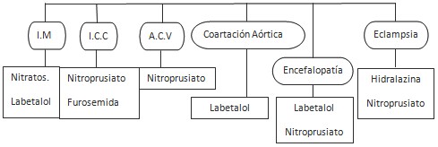 HTA_emergencia_hipertensiva/tratamiento_farmacologico_medicamentoso