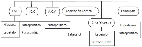 HTA_emergencia_hipertensiva/tratamiento_farmacologico_medicamentoso HTA_emergencia_hipertensiva/tratamiento_farmacologico_medicamentoso