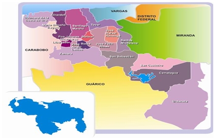 RCP_reanimacion_cardiopulmonar/mapa_conclusiones