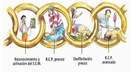 RCP_reanimacion_cardiopulmonar/materiales_metodos