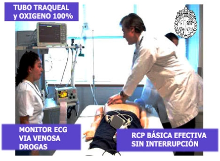 RCP_reanimacion_cardiopulmonar/tubo_traqueal_monitor RCP_reanimacion_cardiopulmonar/tubo_traqueal_monitor