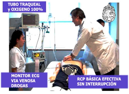 RCP_reanimacion_cardiopulmonar/tubo_traqueal_monitor