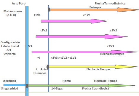 bioetica_conducta_humana/metanumero_cosmologia_universo