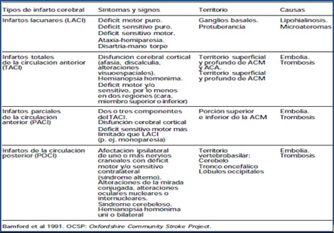 clasificacion_enfermedades_cerebrovasculares/Clasificacion_infarto_cerebral