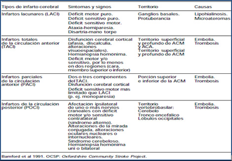 clasificacion_enfermedades_cerebrovasculares/Clasificacion_infarto_cerebral clasificacion_enfermedades_cerebrovasculares/Clasificacion_infarto_cerebral
