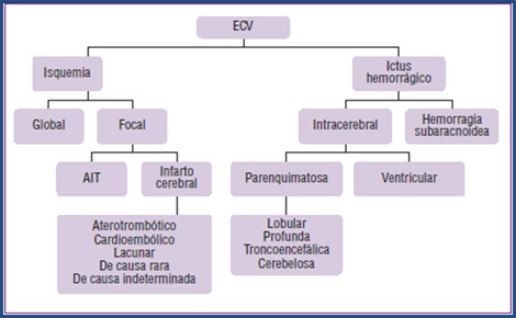 clasificacion_enfermedades_cerebrovasculares/clasificacion_ECV_naturaleza clasificacion_enfermedades_cerebrovasculares/clasificacion_ECV_naturaleza