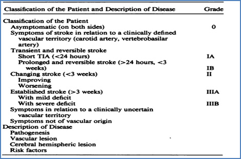 clasificacion_enfermedades_cerebrovasculares/classification_patient_description
