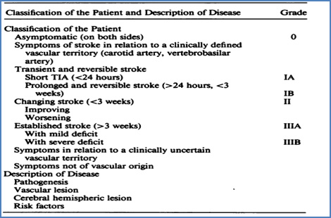 clasificacion_enfermedades_cerebrovasculares/classification_patient_description clasificacion_enfermedades_cerebrovasculares/classification_patient_description