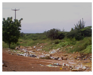 diagnostico_salud_venezuela/foto_de_paisaje