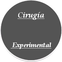 formacion_cirugia_experimental/cirugia_grafico_experimental