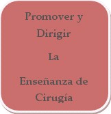formacion_cirugia_experimental/promover_dirigir_docencia