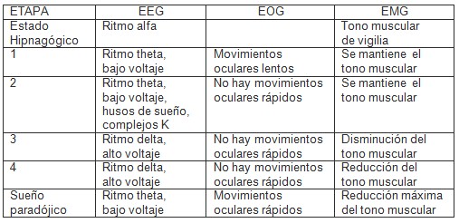 hipnosis_terapeutica_clinica/etapas_fisiologia_EEG hipnosis_terapeutica_clinica/etapas_fisiologia_EEG