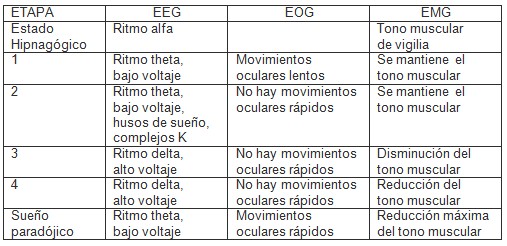 hipnosis_terapeutica_clinica/etapas_fisiologia_EEG