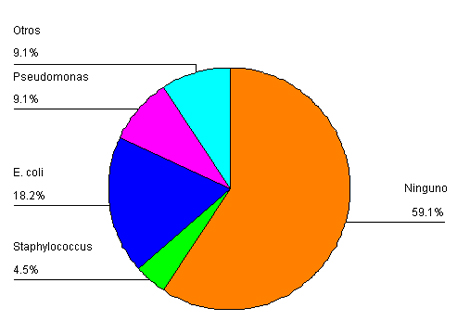 infecciones_tracto_urinario/agentes_aislados_urocultivo