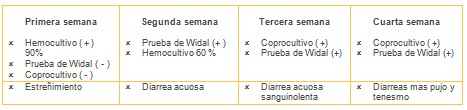 salmonelosis_salmonella_salmonela/diagnostico_laboratorio_salmonella salmonelosis_salmonella_salmonela/diagnostico_laboratorio_salmonella
