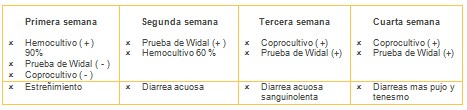 salmonelosis_salmonella_salmonela/diagnostico_laboratorio_salmonella