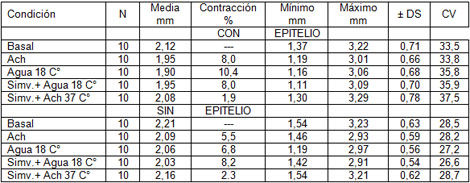 simvastatina_contraccion_acetilcolina/mediciones_anillo_traqueal