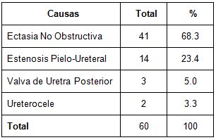 diagnostico_ectasia_prenatal/distribucion_segun_causas