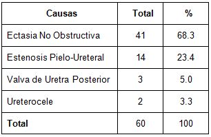 diagnostico_ectasia_prenatal/distribucion_segun_causas diagnostico_ectasia_prenatal/distribucion_segun_causas