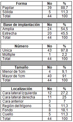 ecografia_neoplasia_vesical/caracteristicas_ultrasonograficas