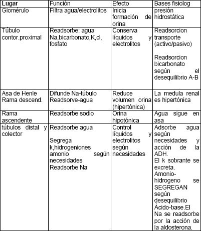 eliminacion_urinaria_insuficiencia/bases_fisiologicas_lugar