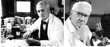 historia_enfermedades_venereas/alexander_fleming historia_enfermedades_venereas/alexander_fleming