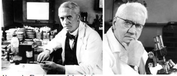 historia_enfermedades_venereas/alexander_fleming