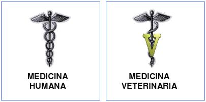medicina_veterinaria_humana/medicina_veterinaria