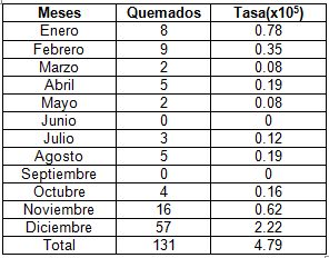 quemaduras_juegos_pirotecnicos/incidencia_quemados_meses