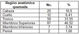 quemaduras_juegos_pirotecnicos/region_quemada