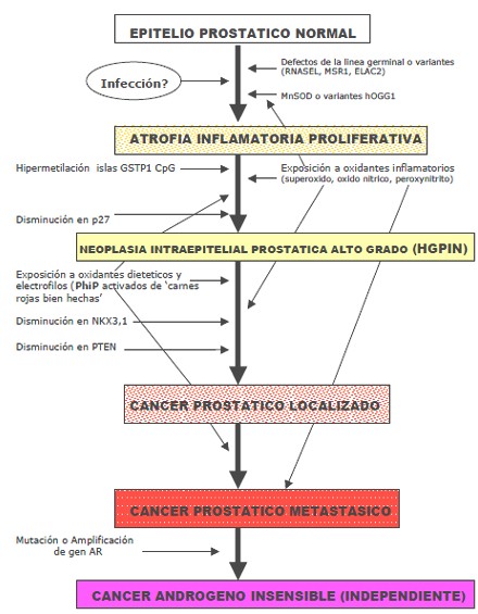 terapia_biologica_cancer/esquema_cancer