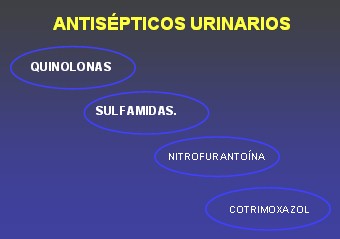 Antisepticos Urinarios Revista Electronica De Portalesmedicos Com