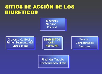 diureticos3 diureticos3