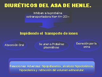 diureticos5 diureticos5