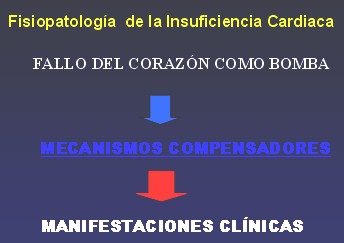insuficiencia_cardiaca3 insuficiencia_cardiaca3