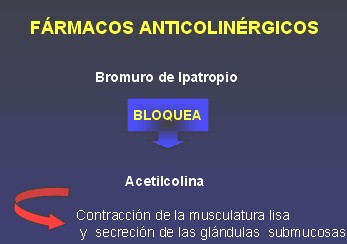 medicamentos_antiasmaticos15 medicamentos_antiasmaticos15