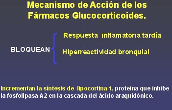 medicamentos_antiasmaticos16 medicamentos_antiasmaticos16