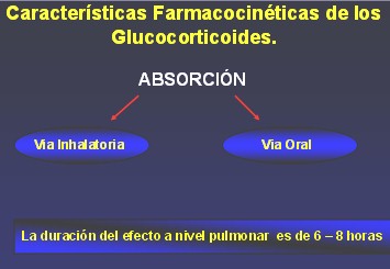 medicamentos_antiasmaticos17 medicamentos_antiasmaticos17