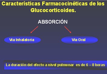 medicamentos_antiasmaticos17