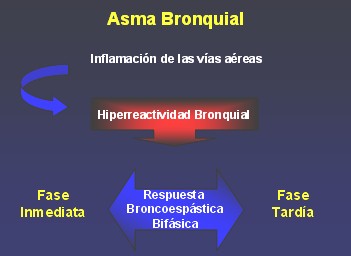 Farmacologia de los corticosteroides ppt