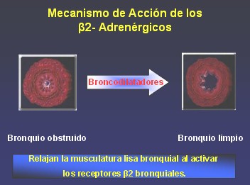 medicamentos_antiasmaticos5 medicamentos_antiasmaticos5