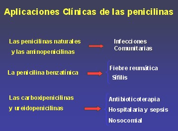 penicilinas_cefalosporinas14